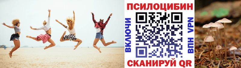цена наркотик  мориарти официальный сайт  Галлюциногенные грибы мицелий  Верхняя Салда 
